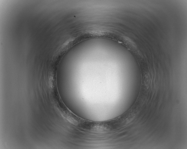 X0000062930596200601271834