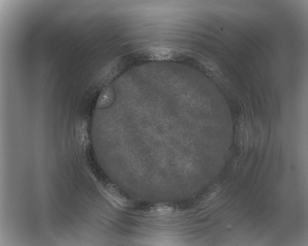 X0000062930598200601271834