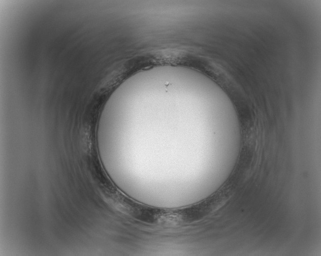 X0000062930599200601271834