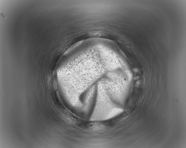 X0000062930601200601271834