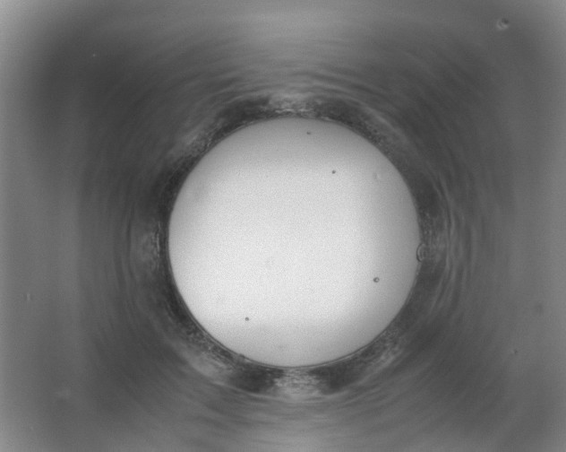 X0000062930603200601271834