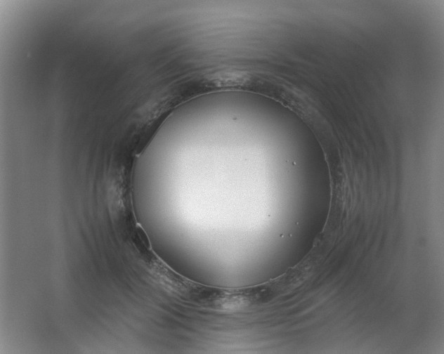 X0000062930604200601271834