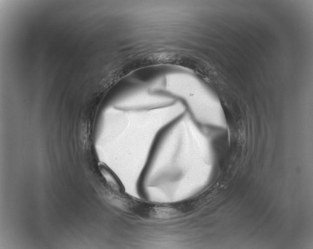 X0000062930605200601271834