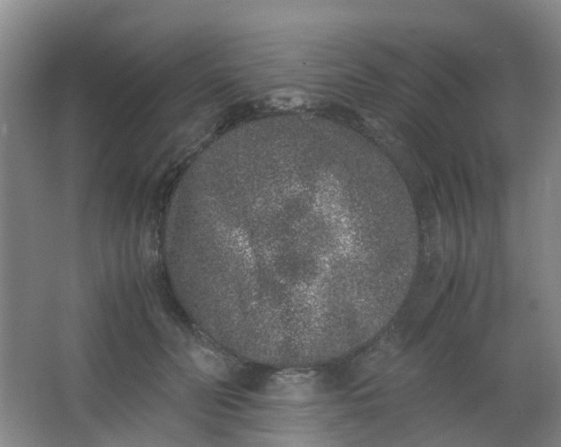 X0000062930606200601271834