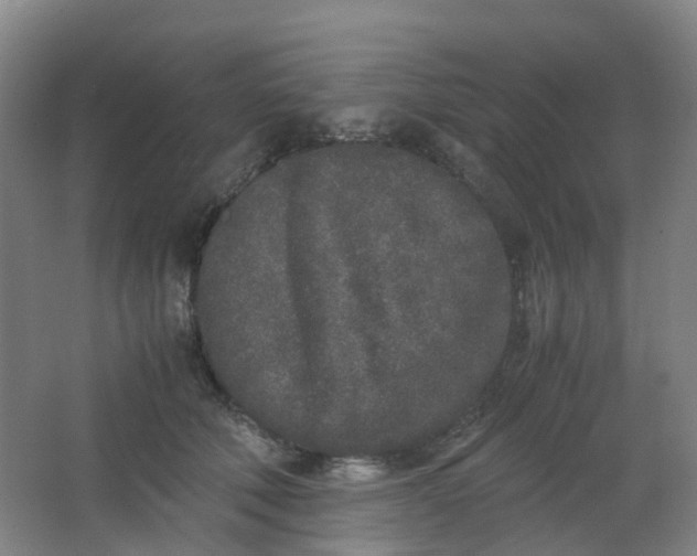 X0000062930610200601271834