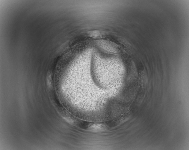 X0000062930611200601271834