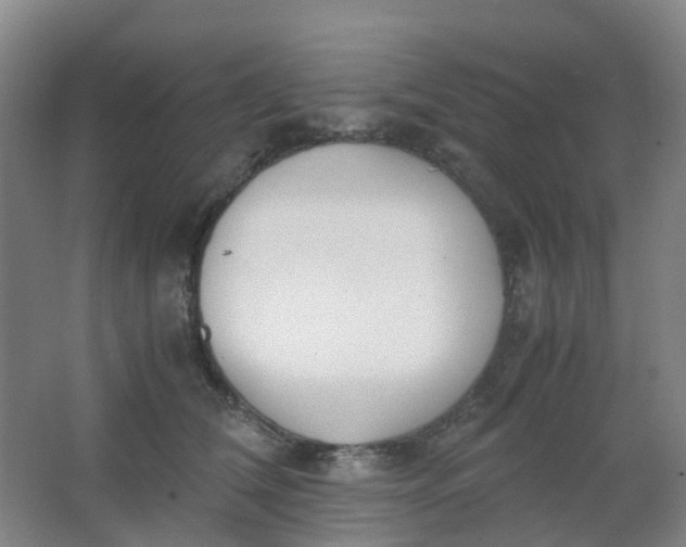 X0000062930612200601271834