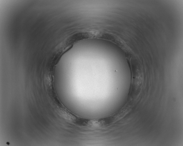 X0000062930613200601271834