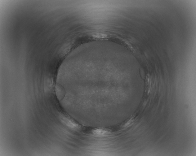 X0000062930614200601271834