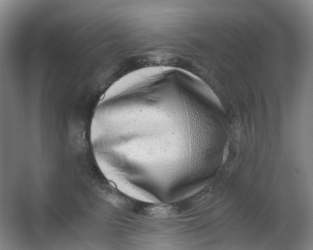 X0000062930615200601271834