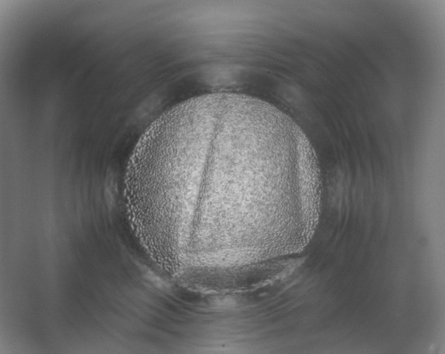 X0000062930618200601271833