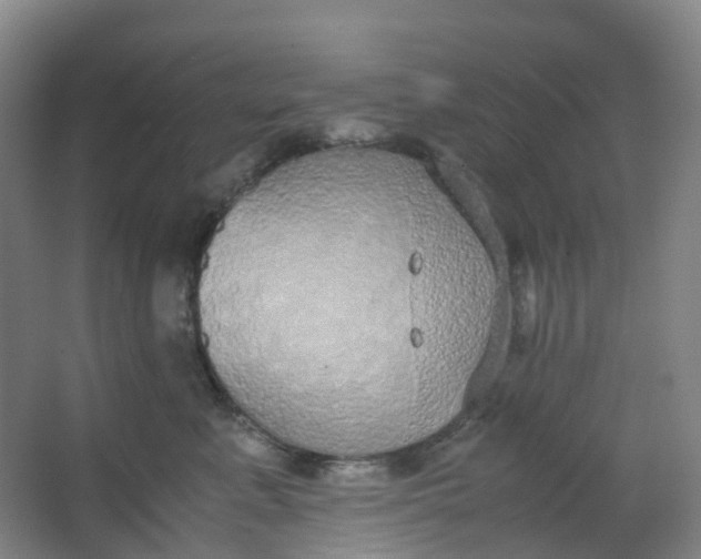 X0000062930619200601271833