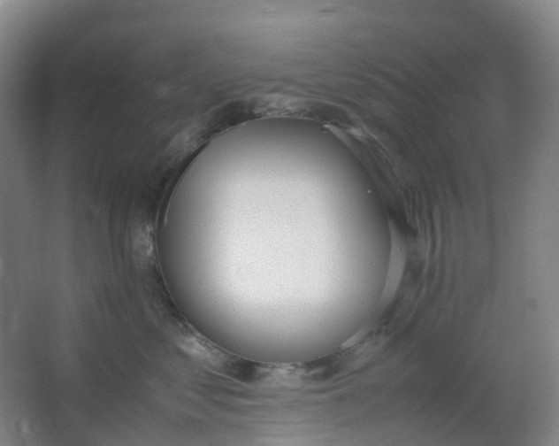 X0000062930621200601271833