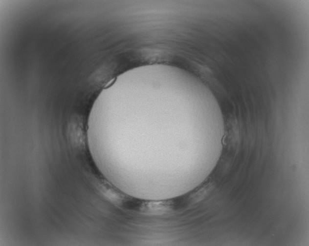 X0000062930622200601271833