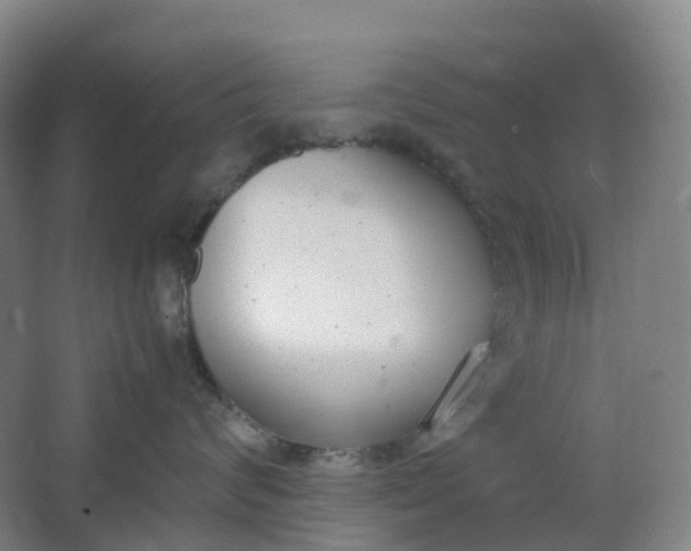 X0000062930624200601271833