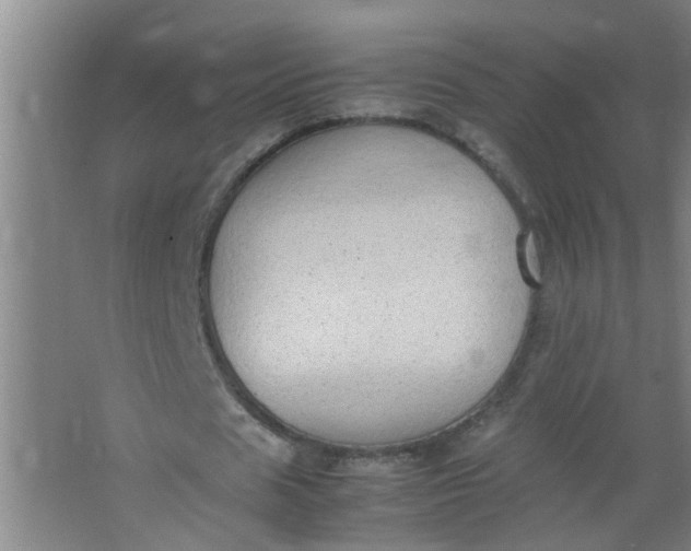 X0000062930625200601271833