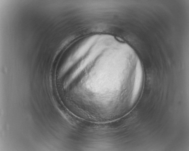 X0000062930626200601271833