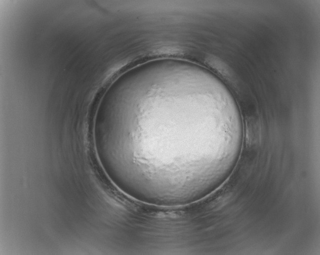 X0000062930627200601271833