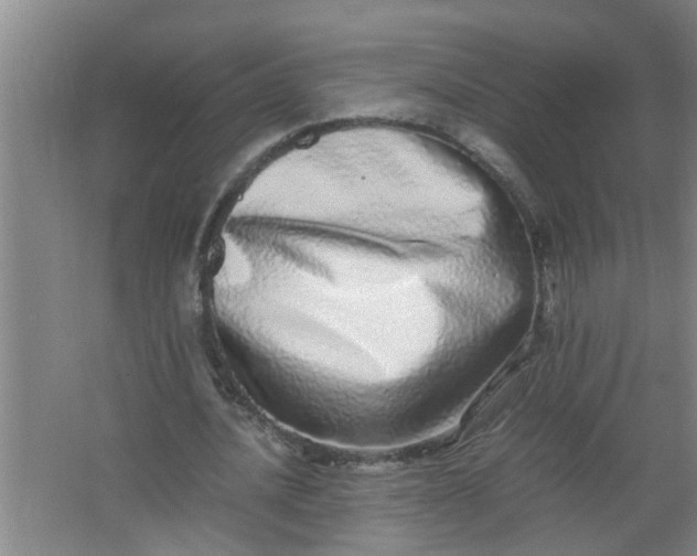 X0000062930628200601271833