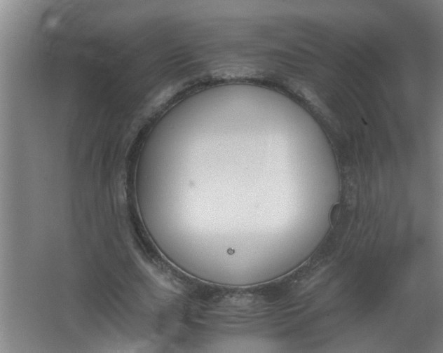 X0000062930631200601271833