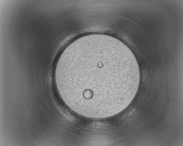 X0000062930632200601271833