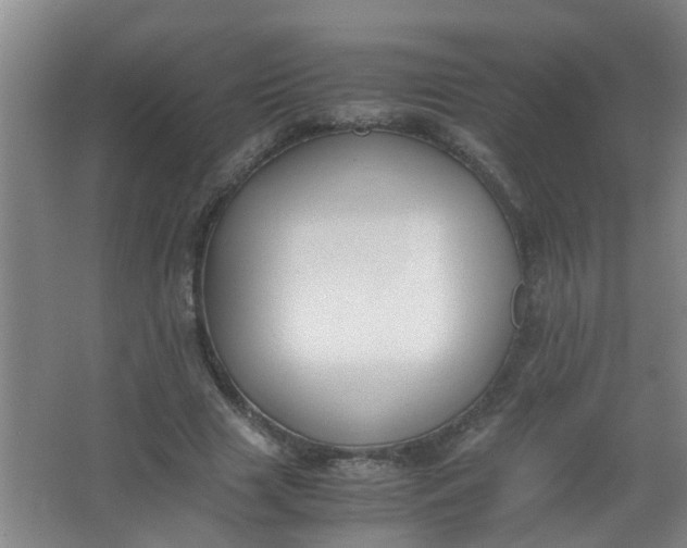 X0000062930633200601271833