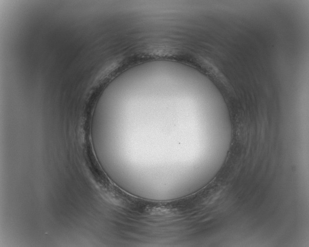 X0000062930635200601271833