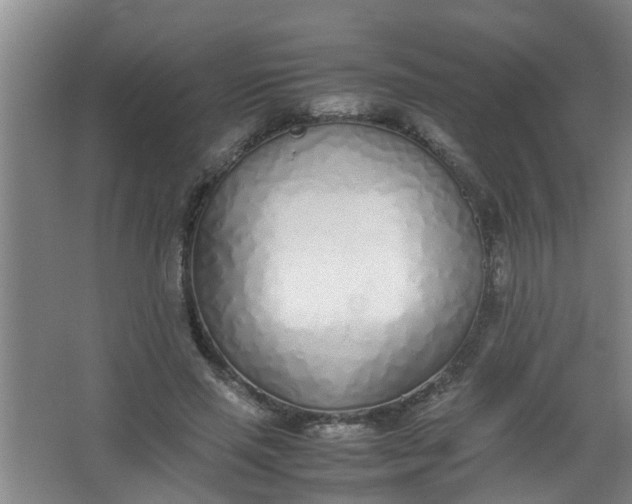 X0000062930637200601271833