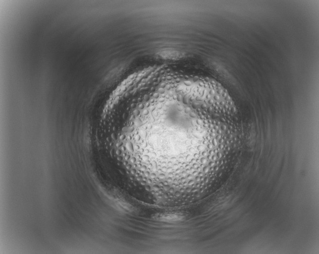 X0000062930639200601271833