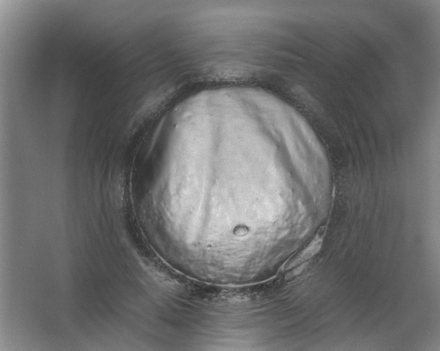 X0000062930640200601271833