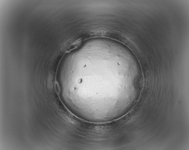 X0000062930641200601271833