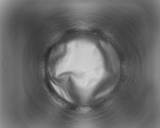 X0000062930642200601271833