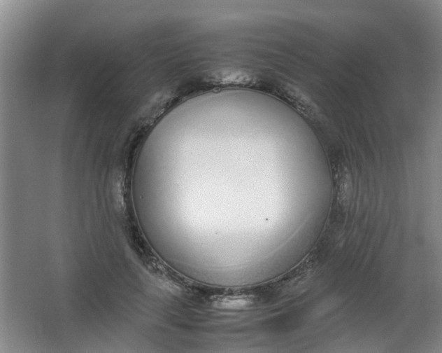 X0000062930643200601271833