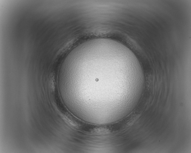 X0000062930644200601271833