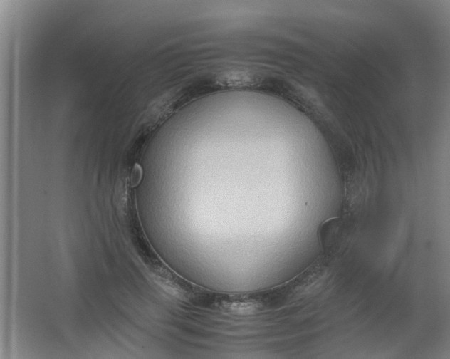 X0000062930645200601271833