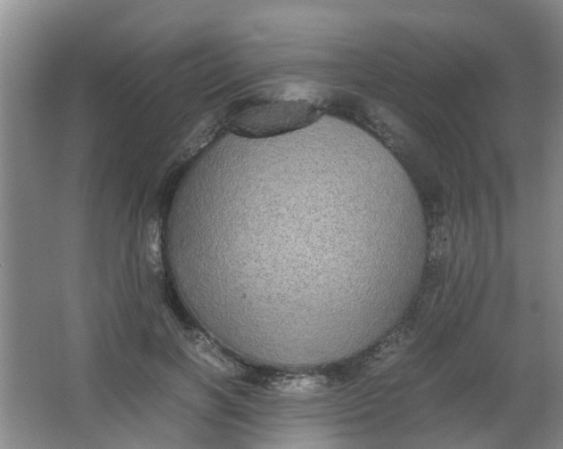 X0000062930646200601271833