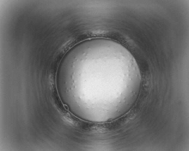 X0000062930648200601271833