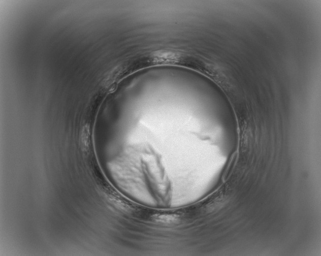 X0000062930649200601271833