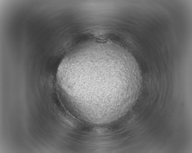 X0000062930650200601271833