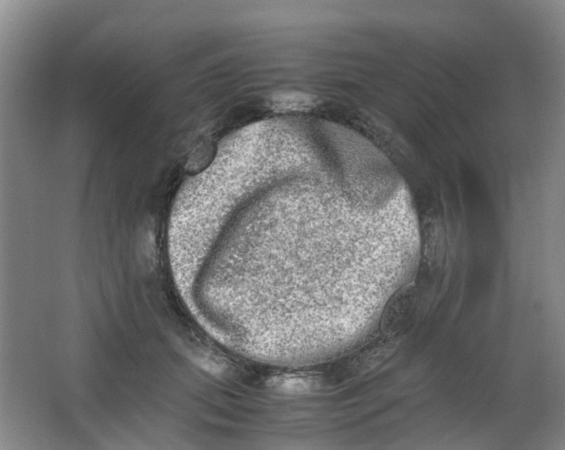 X0000062930655200601271833