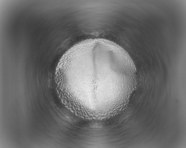 X0000062930656200601271833