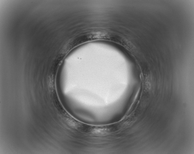 X0000062930657200601271833