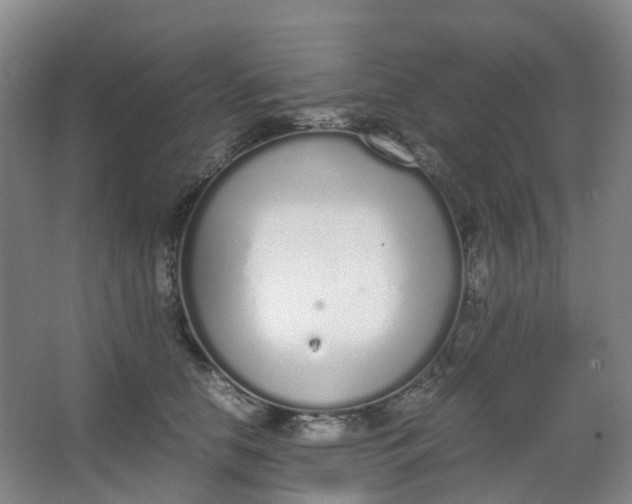 X0000062930658200601271833