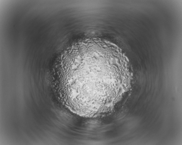 X0000062930659200601271833