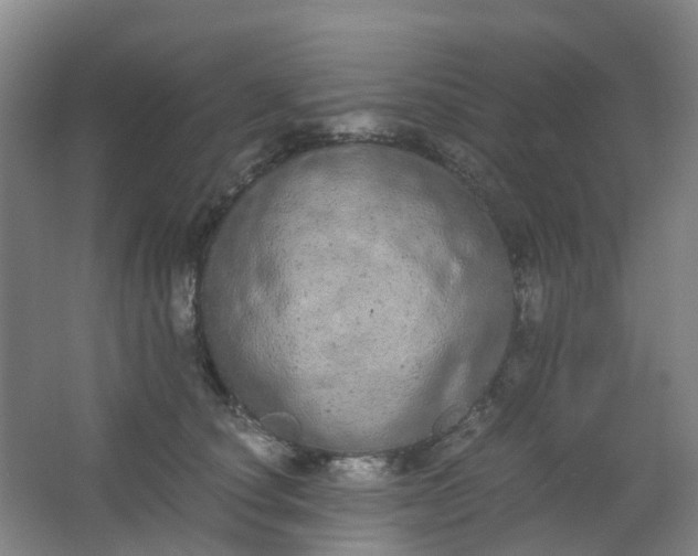 X0000062930660200601271833