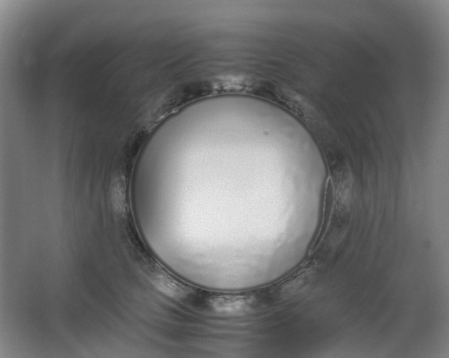 X0000062930661200601271833