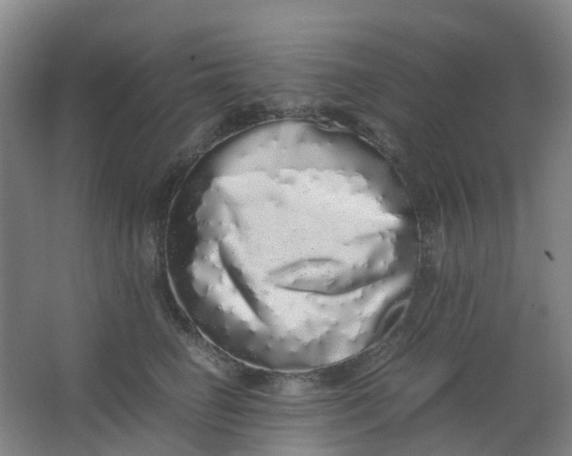 X0000062930662200601271833