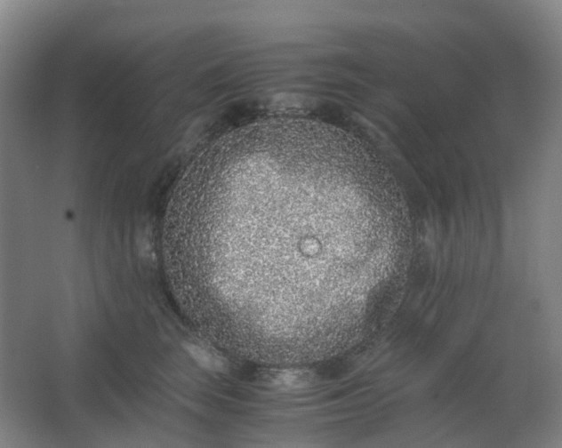 X0000062930663200601271833