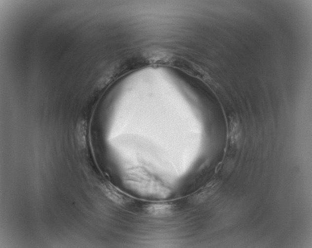 X0000062930664200601271833