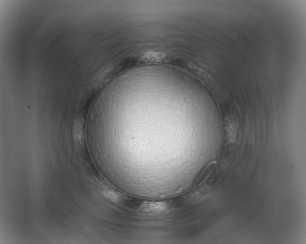 X0000062930665200601271833